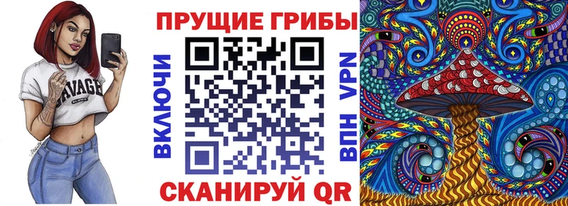ссылка на мегу ONION Отрадный Галлюциногенные грибы Cubensis