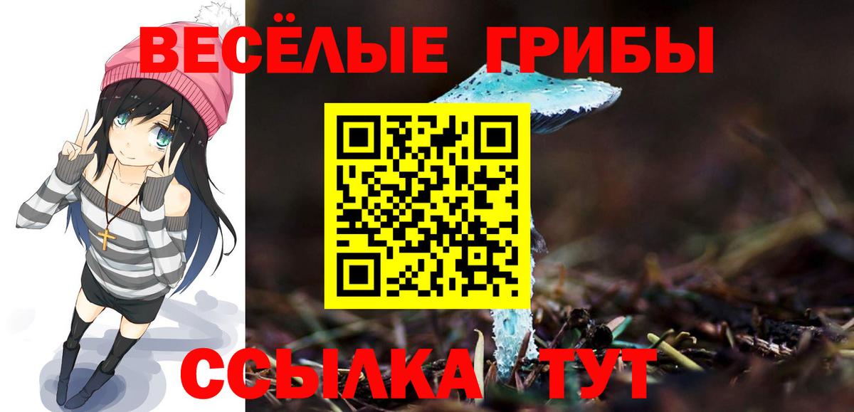Псилоцибиновые грибы Cubensis  Галлюциногенные грибы мухоморы  Отрадный  Вход с VPN 